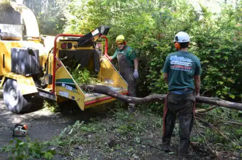 tree services Bonner Springs